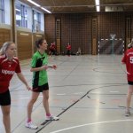 2017_01_08 Landesliga Frauen u. J19